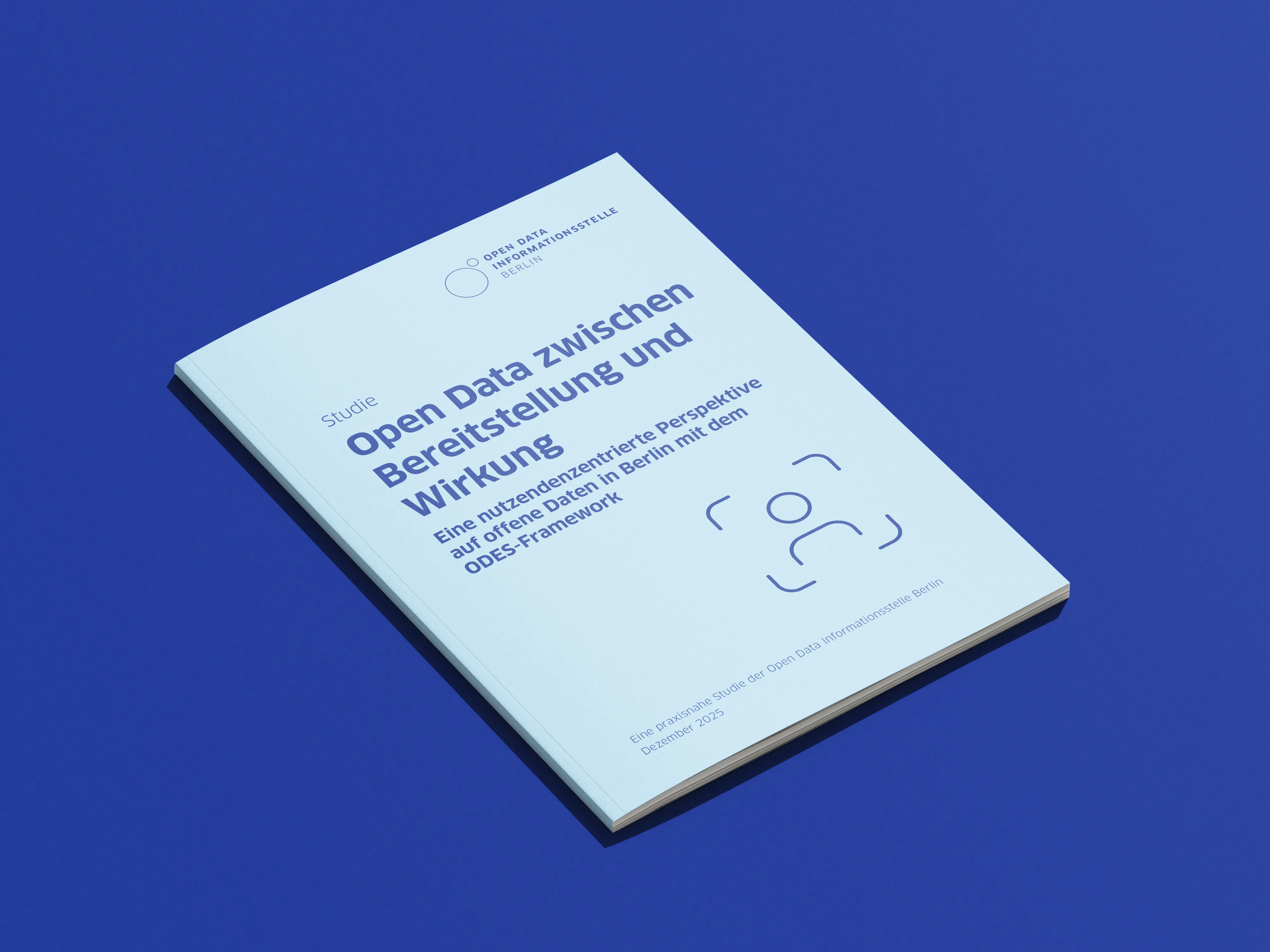 Screenshot für das Projekt: 'Open Data zwischen Bereitstellung und Praxis'