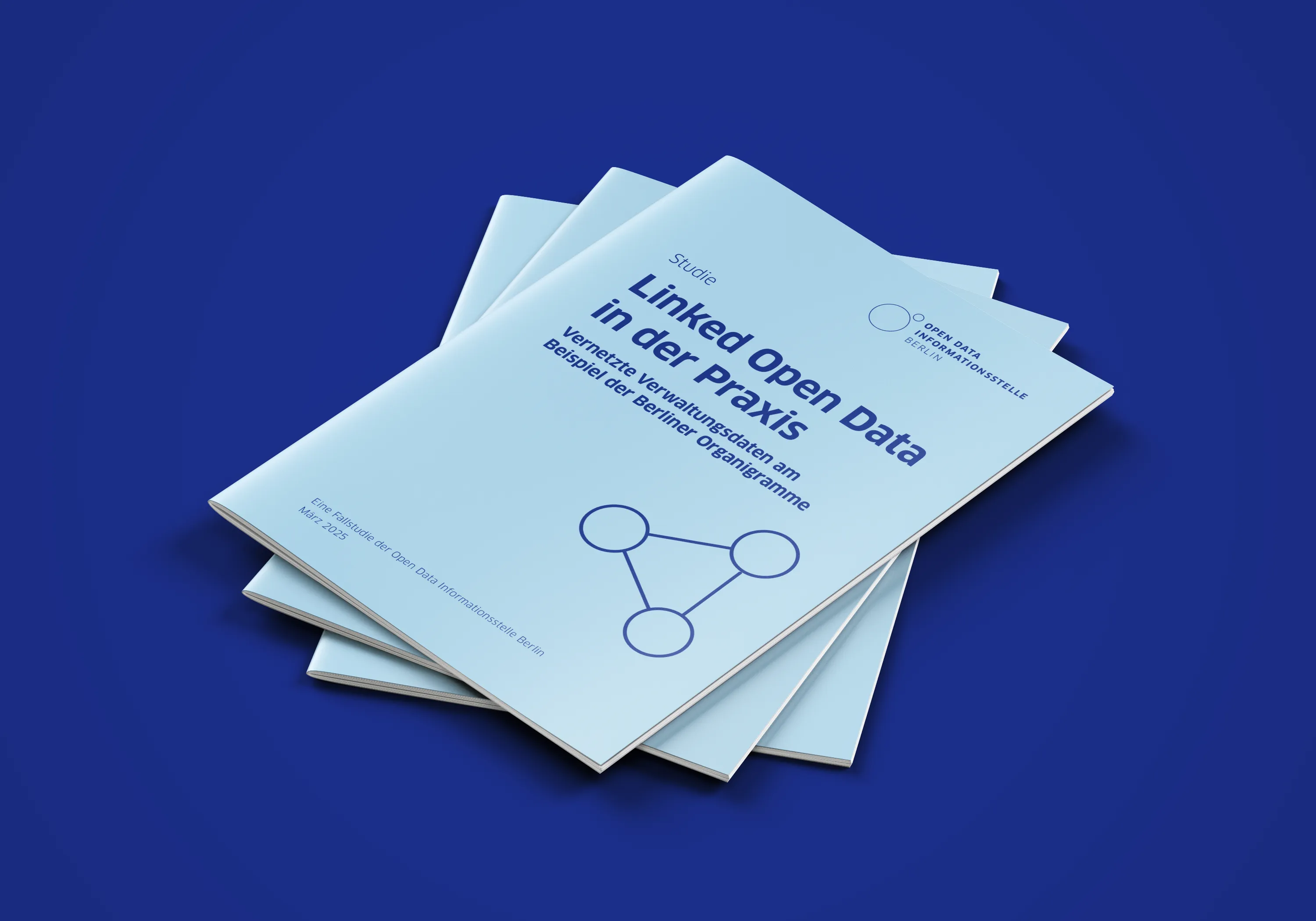 Screenshot für das Projekt: 'Linked Open Data in der Praxis'